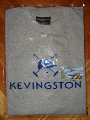 KEVINGSTON REMERAS SIMIL