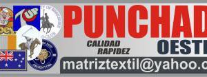 Punchado Matriceria Bordados Software para Maquinas de Bordar en la Feria La Salada