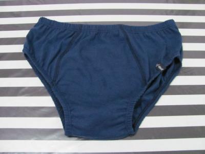 Venta de Slips al Por Mayor de Fabricantes desde 5 Pesos Talles Especiales Colores