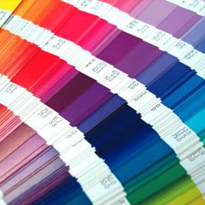 Servicios Graficos Imprenta Full Color Ilustracion Banners Bolantes Vouchers