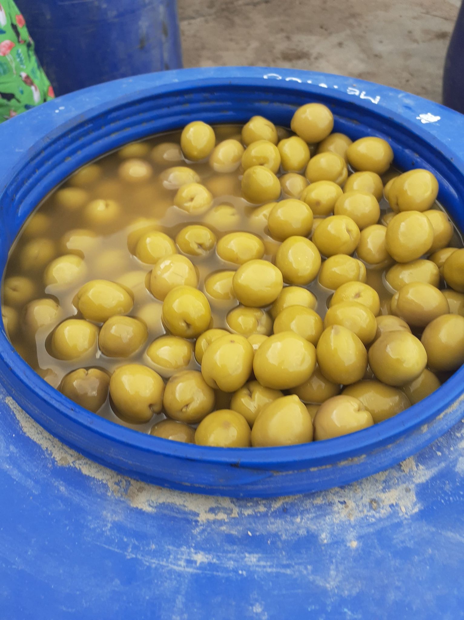 ACEITUNAS VERDES Y NEGRAS POR MAYOR SOY PRODUCTOR - Imagen 6