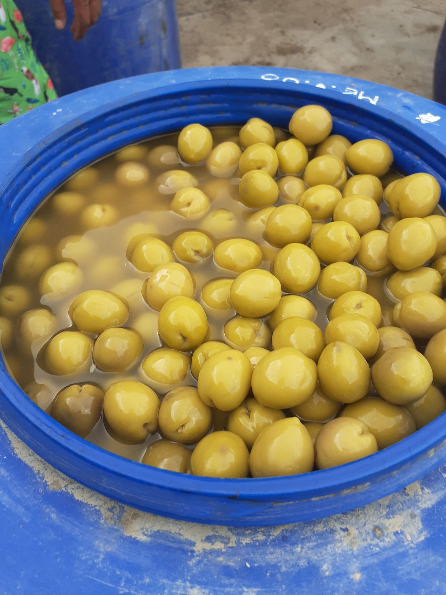 ACEITUNAS VERDES Y NEGRAS POR MAYOR SOY PRODUCTOR - Imagen 2