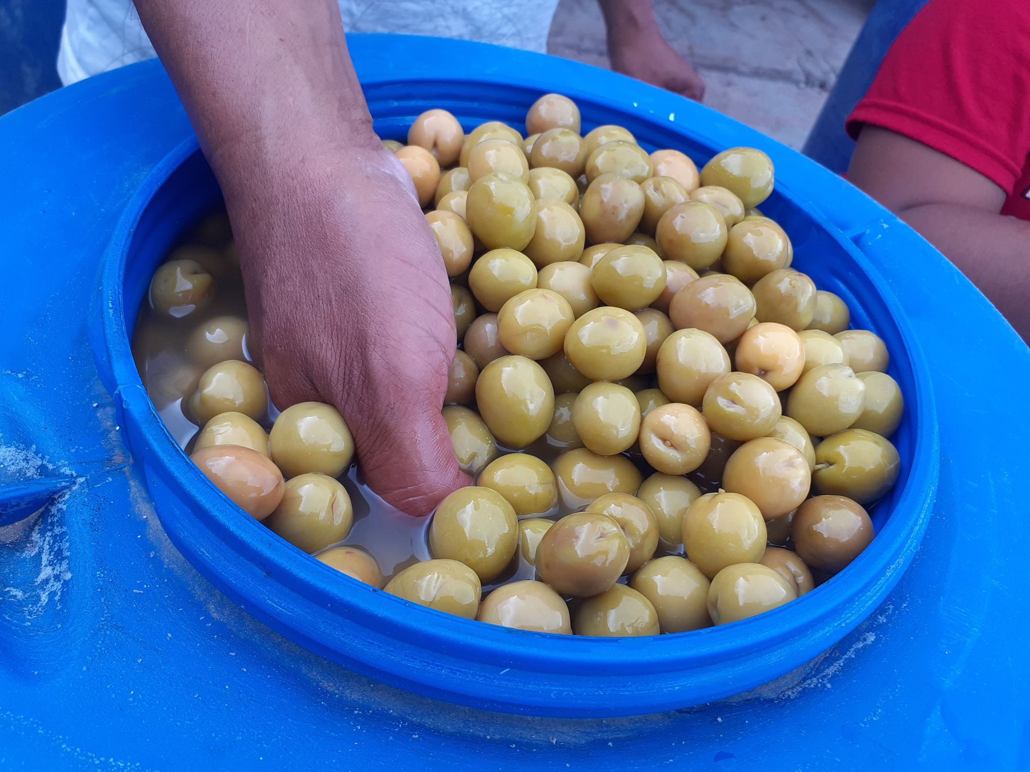 ACEITUNAS VERDES Y NEGRAS POR MAYOR SOY PRODUCTOR